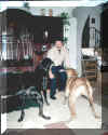 Doggen.jpg (247378 Byte)